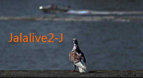 Jalalive2-JalaLive: Solusi Terbaik untuk Presentasi dan Kolaborasi di Laptop