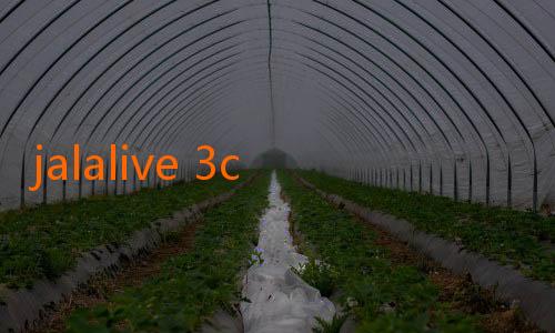 jalalive 3com-Menjelajahi Dunia Hiburan dengan Jalalive 51com: Platform Hiburan Online Terbaru yang Wajib Dicoba!